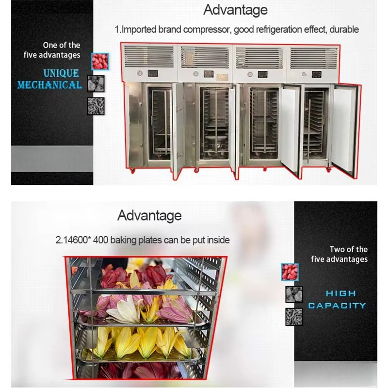 FL Quick Freezing Machine Stai - đánh giá và giá Quick Food Snacks