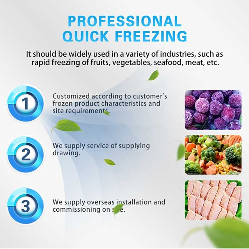 FL Quick Freezing Machine Stai - đánh giá và giá Quick Food Snacks